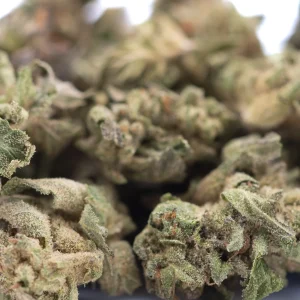 Close-up of Rozay Cake THCa hybrid flower illustrating quality for professional channels