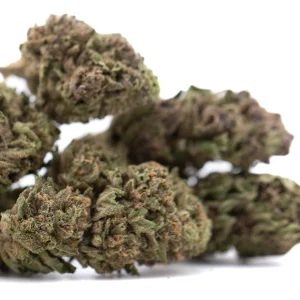 Blueberry Muffin THCa full term hemp flower dense outdoor buds with frosty trichomes and orange pistils