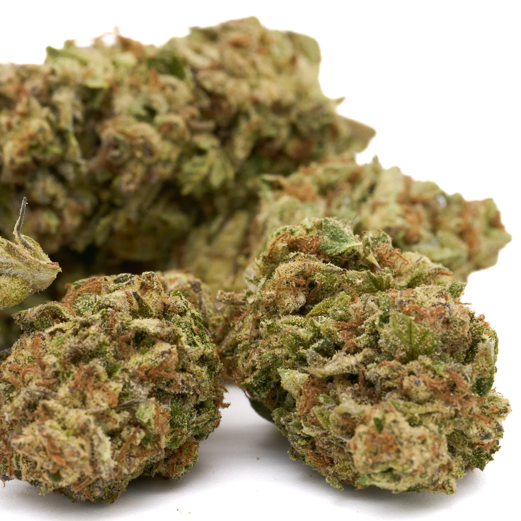 Chimera THCa hemp flower greenhouse grown buds with frosty trichomes and vibrant coloration