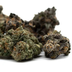 Chunky Monkey indoor THCa flower dense frosty buds with green and purple tones and orange pistils