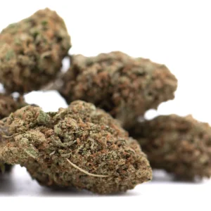 Critical Berries CBD full term hemp flower dense outdoor buds with trichomes and orange pistils