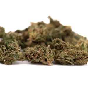 Early Blossom CBD flower smalls dense aromatic buds with frosty trichomes and vibrant green color