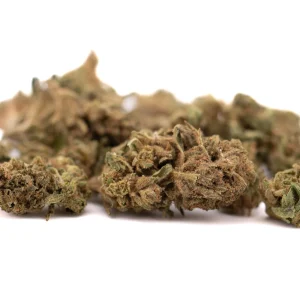 Early Cherry CBD hemp flower small buds with frosty trichomes and vibrant green and purple tones