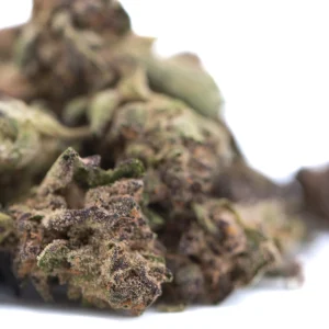 Halle Berry THCa hemp flower greenhouse small buds with frosty trichomes and vibrant green tones
