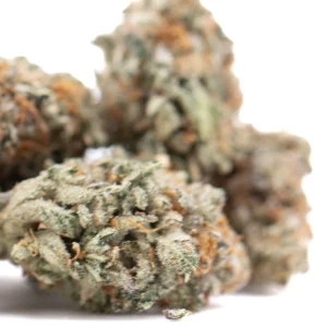 Kali Snapple Indoor THCa flower hybrid buds with dense resinous appearance
