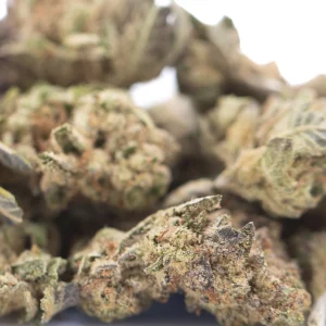 Lung Buster THCa Flower greenhouse grown hemp buds with dense trichomes and orange pistils