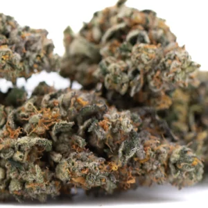 Orange Runtz sativa THCa hemp flower with frosty trichomes and bright orange pistils