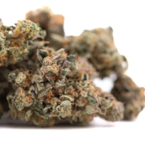 Orange Sumo indoor THCa hemp flower with dense frosty buds and bright orange pistils