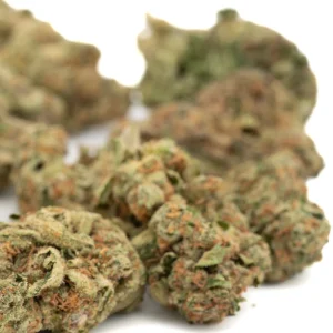 Point Break THCa hemp flower greenhouse grown buds with frosty trichomes and vibrant green color