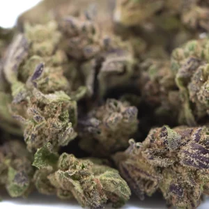 Purple Mountain Majesty THCa Flower greenhouse grown hemp buds with vibrant purple coloration and frosty trichomes