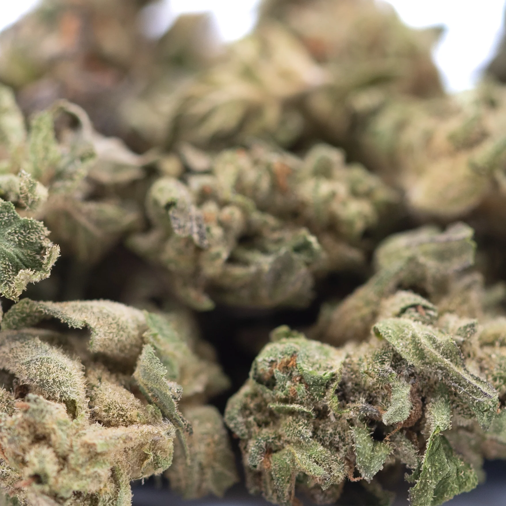 Rozay Cake THCa flower greenhouse premium hemp buds