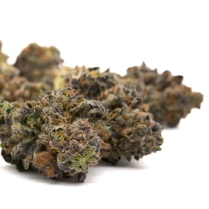Russian Runtz indoor THCa flower buds with trichomes and orange pistils