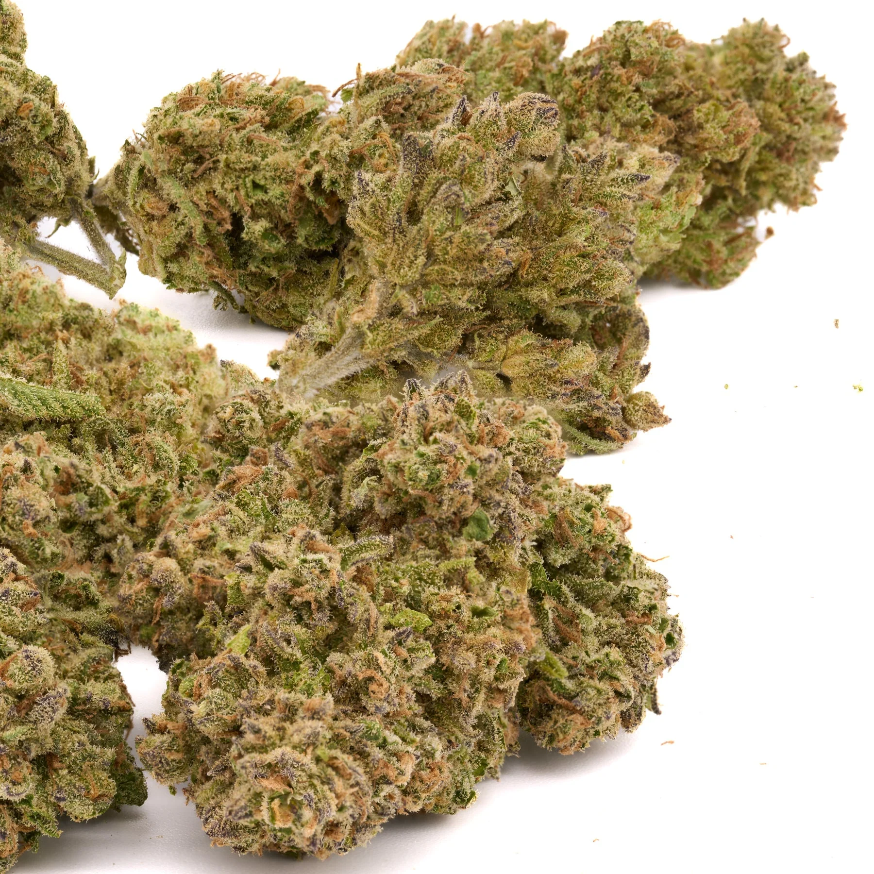 Sasquatch THCa hemp flower dense frosty buds with deep green tones and orange pistils