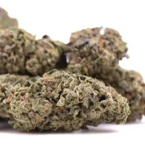 Street Guru indoor THCa hemp flower with dense frosty buds and bright orange pistils