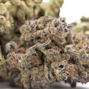 banjerine-thca-flower-full-term-dense-trichome-rich-citrus-buds