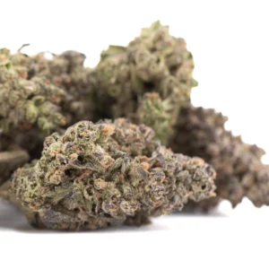 gmo-thca-flower-full-term-dense-trichome-rich-gassy-buds