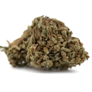 jelly-mints-thca-flower-full-term-dense-trichome-rich-minty-buds
