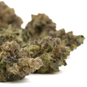 premium-lung-buster-hybrid-indoor-thca-flower-dense-frosty-trichome-buds