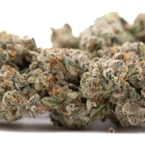 premium-platinum-cookies-hybrid-thca-flower-dense-frosty-buds-with-trichomes