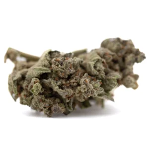 Top Gun THCa flower full term buds with dense structure and frosty trichome coverage